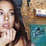 فقط یک نابغه در 7 ثانیه سگی را در خیابان پیدا می کند: یک توهم نوری پیچیده فقط یک نابغه در 7 ثانیه سگی را در خیابان