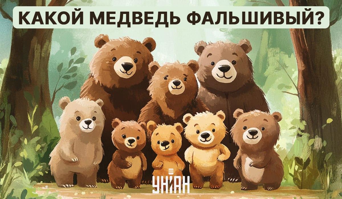 باید در یک معمای تصویری یافت شود 