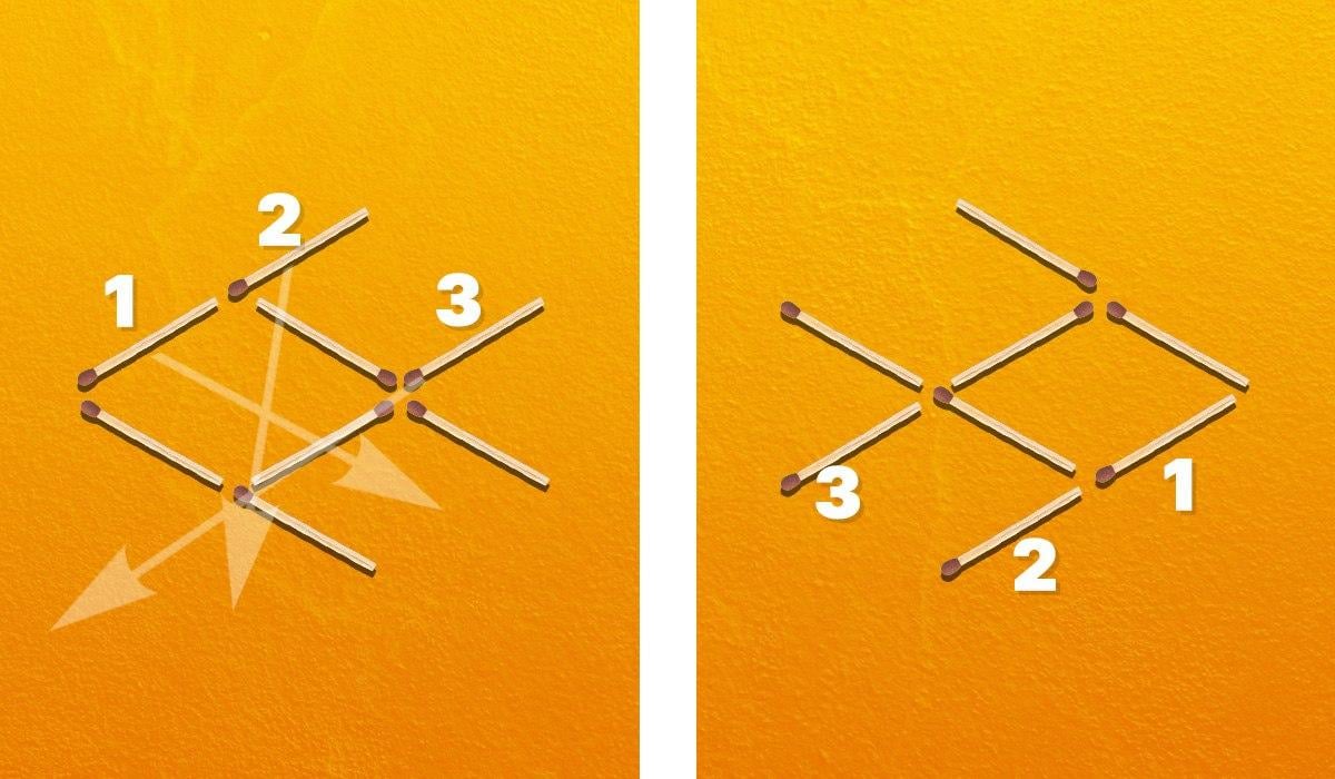 شما باید سه کبریت را حرکت دهید تا ماهی را به سمت راست بچرخانید / کولاژ Moje