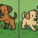 تست هوش: 3 تفاوت در تصاویر دو توله سگ در