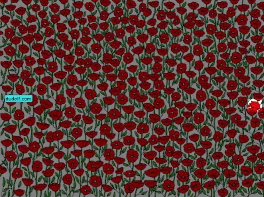 فقط افرادی که فوق‌العاده هستند خرچنگ را در تصویر پیدا می‌کنند: ضریب هوشی خود را در 25 ثانیه آزمایش کنید