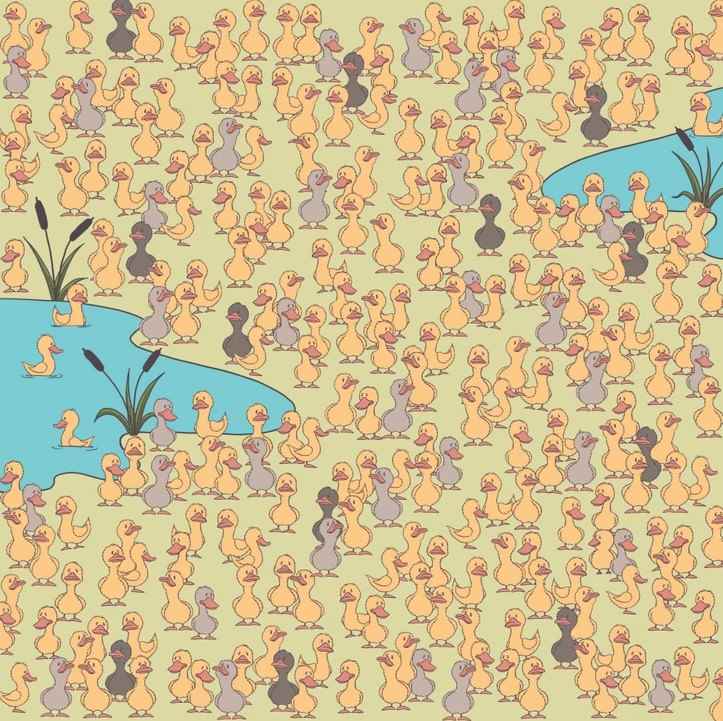 رمز و راز و نکته اصلی