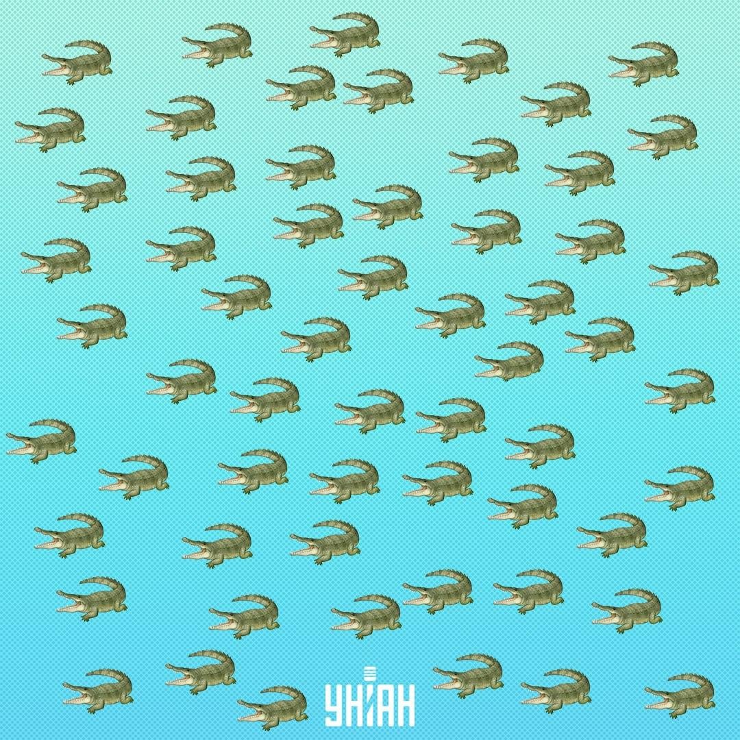 خزنده پنهان شد، اما باید در 15 ثانیه دیده شود / کلاژ Moje