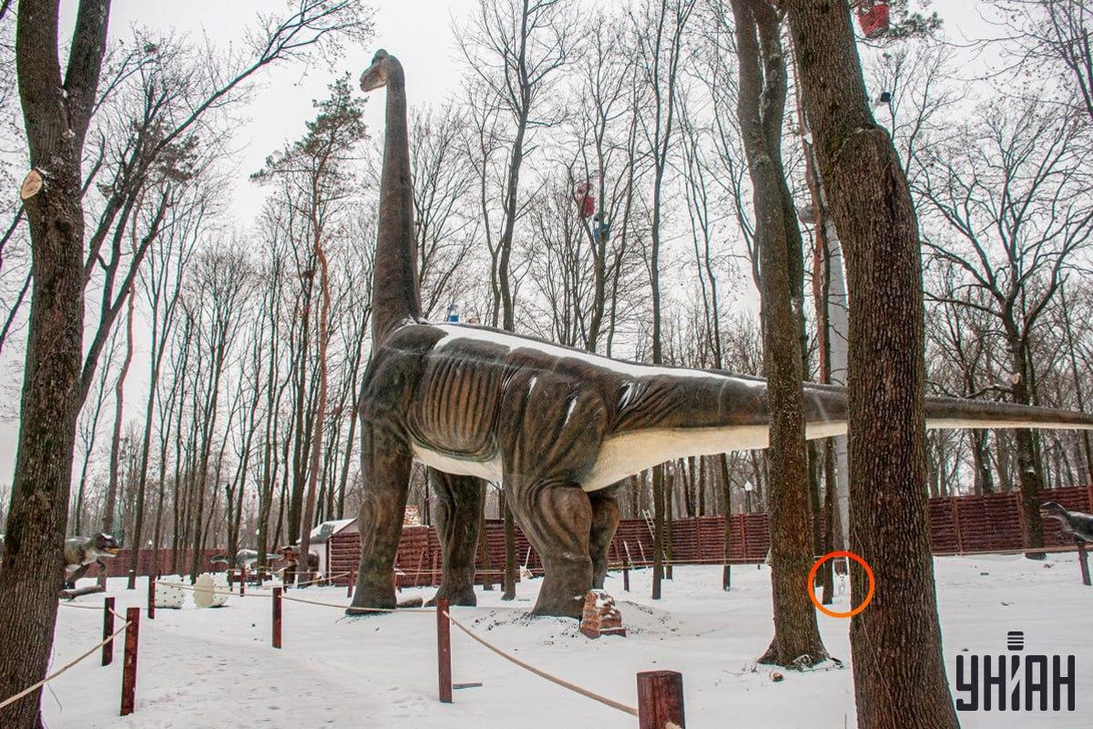 سگ نزدیک گوشه پایین سمت چپ تصویر / کولاژ Moje بود