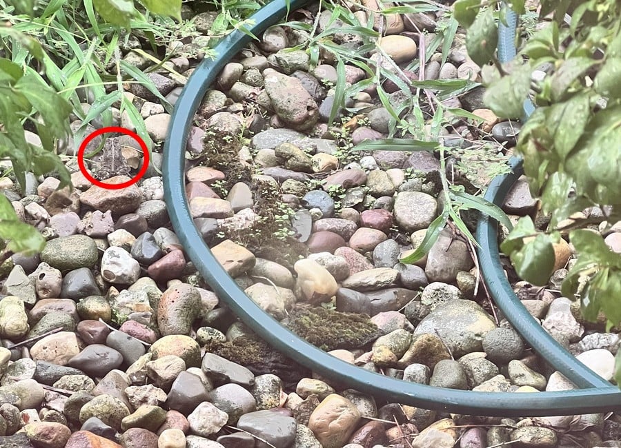 راه حل توهم نوری