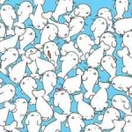 پازل برای افراد با بینایی تیزبین: گل ختمی را در 11 ثانیه در میان فوک ها پیدا کنید پازل برای افراد با بینایی تیزبین: گل ختمی را در