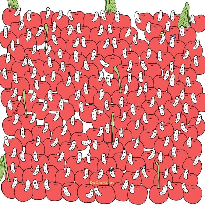 پازل برای افراد با چشم عقابی: گیلاس بدون کرم را در 30 ثانیه پیدا کنید