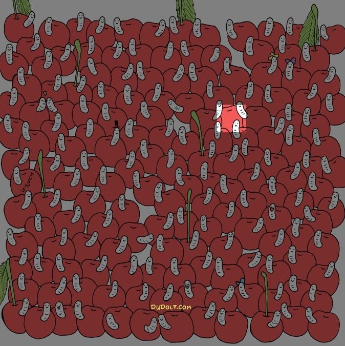 پازل برای افراد با چشم عقابی: گیلاس بدون کرم را در 30 ثانیه پیدا کنید