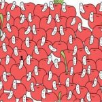 پازل برای افراد با چشم عقابی: گیلاس بدون کرم را در 30 ثانیه پیدا کنید پازل برای افراد با چشم عقابی: گیلاس بدون کرم را