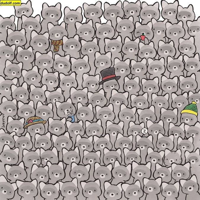 یک پازل برای نابغه های واقعی: در 15 ثانیه گربه را در میان راکون ها پیدا کنید